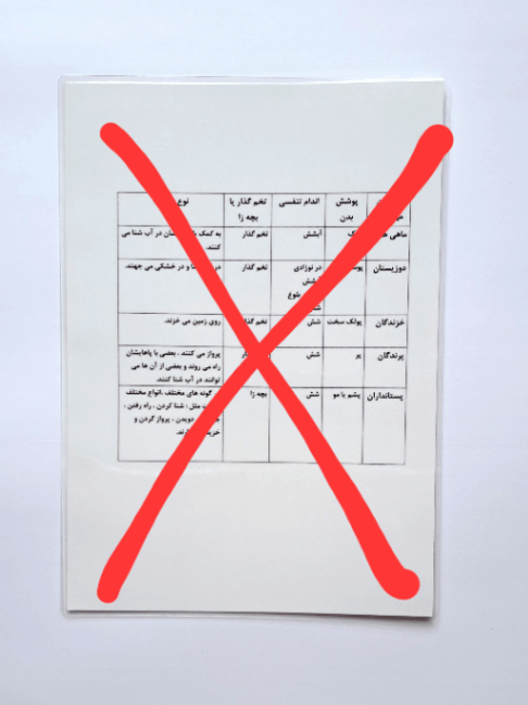 نمای پشت کمک درسی مهره داران