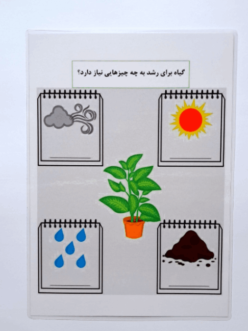 این کمک درسی به یادگیری نیاز های یک گیاه کمک می کند 