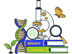 ​ابزار های آموزشی برای درک بهتر و عمیق تر درس علوم طراحی شده تا بچه ها مفاهیم درس را به بهترین شکل ممکن یاد بگیرند