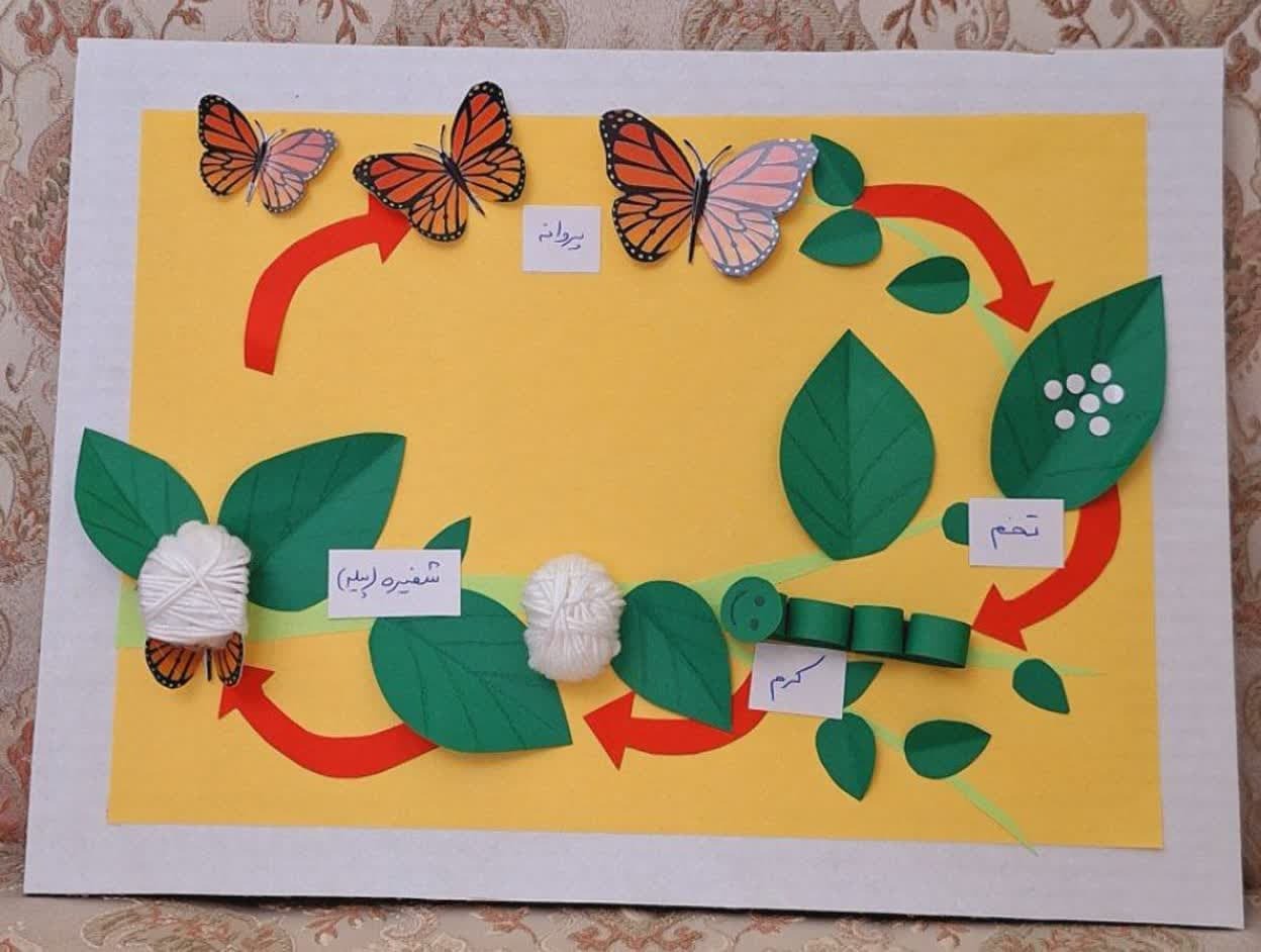  کمک درسی چرخه رشد پروانه _ علوم کلاس اول و دوم 