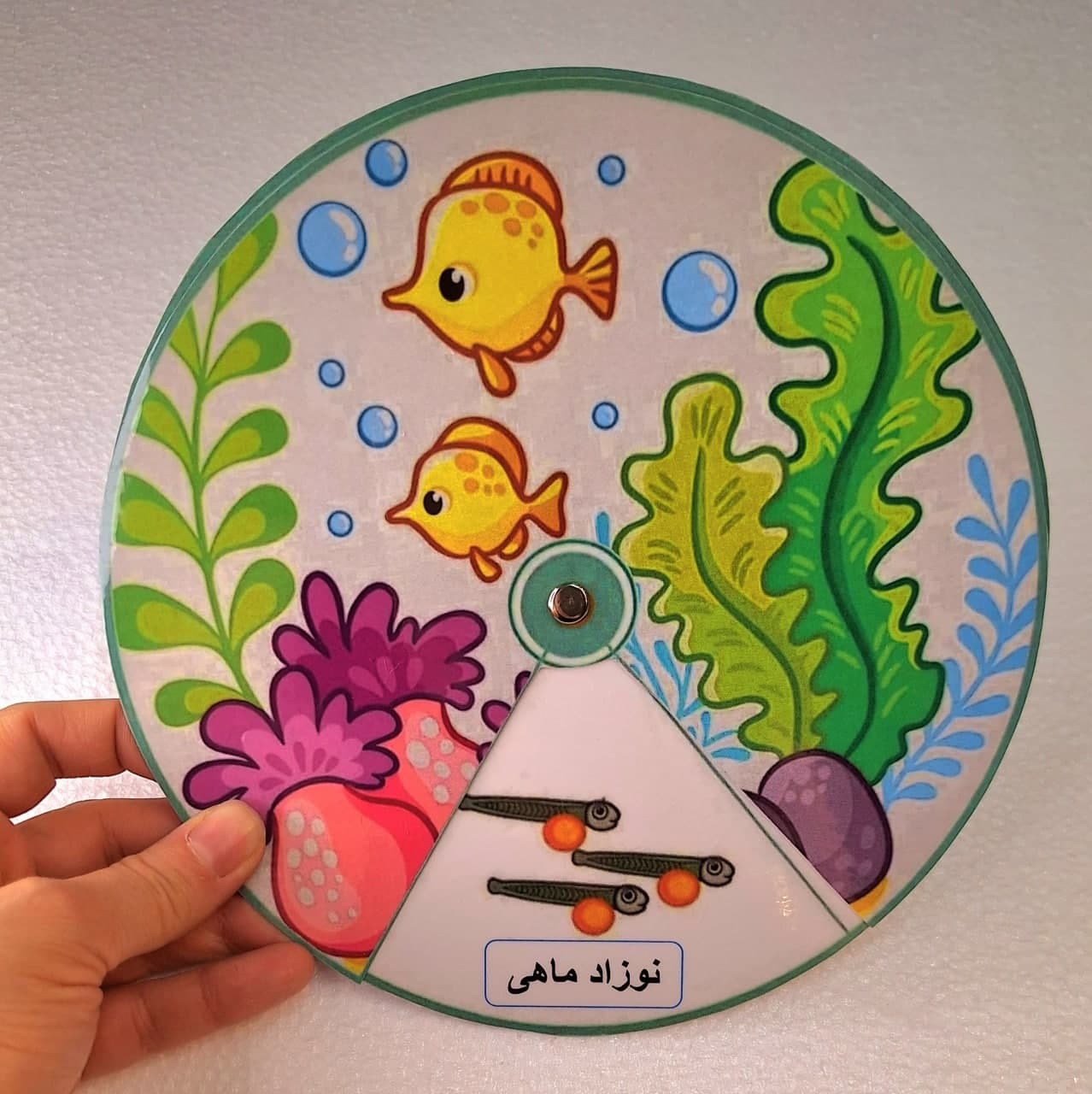  کمک درسی چرخه زندگی ماهی 