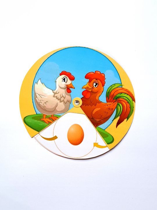 کمک آموزشی مراحل زندگی مرغ برای علوم کلاس اول ابتدایی _ علومینو _ یادگیری لذت بخش علوم 