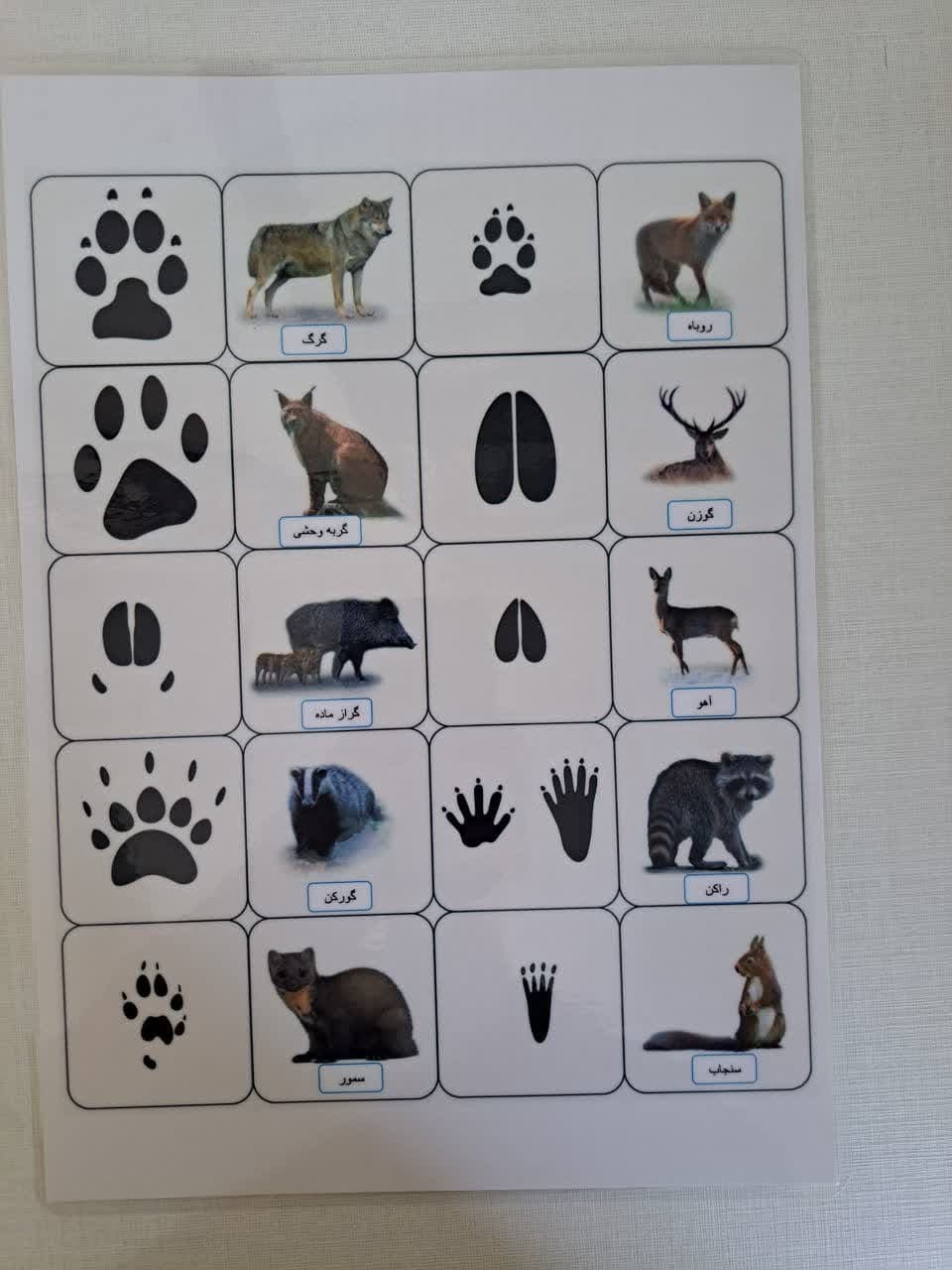  برگه رد پا _ علوم پنجم 