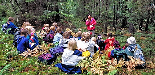 یادگیری مبتنی بر تجربه و مشاهده 