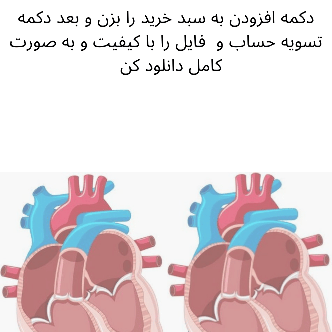  الگوی ماکت قلب برای علوم کلاس چهارم ابتدایی 