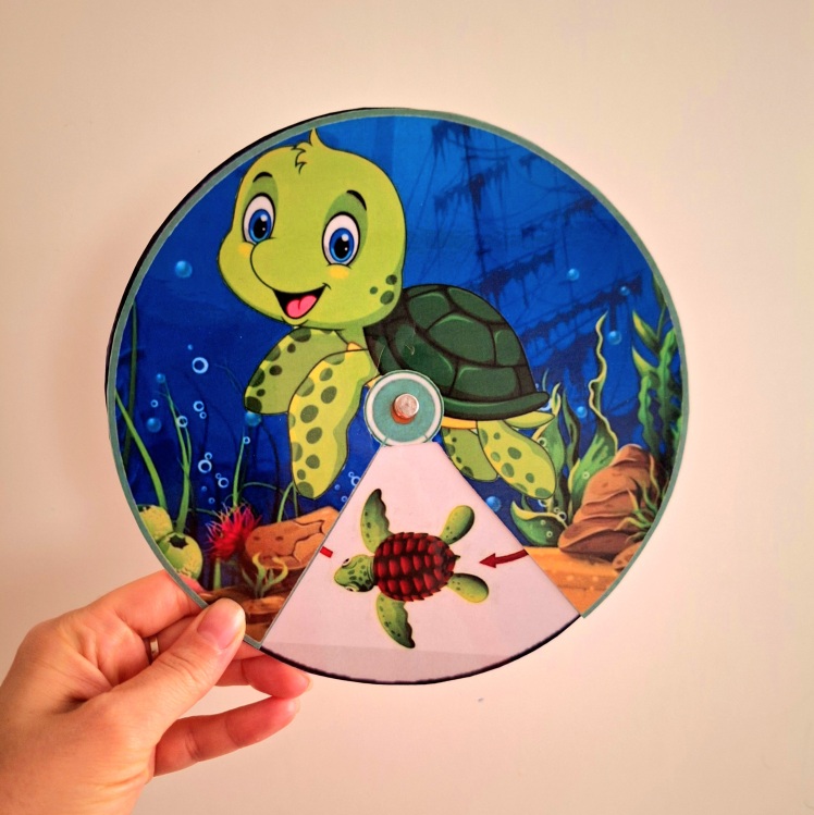 کمک درسی مراحل رشد لاکپشت _ علوم اول ابتدایی_علومینو 