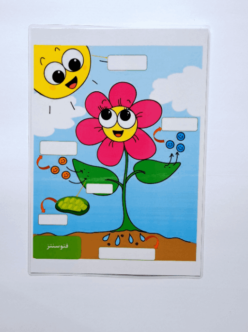 برگه کمک آموزشی فتوسنتز برای یادگیری علوم ششم _ علومینو _ یادگیری لذت بخش علوم 