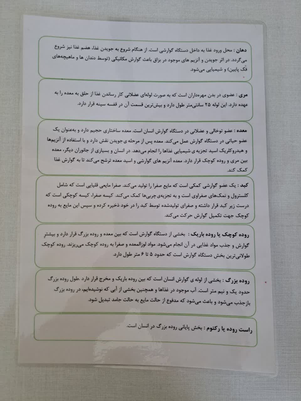  پشت برگه سیستم گوارش 